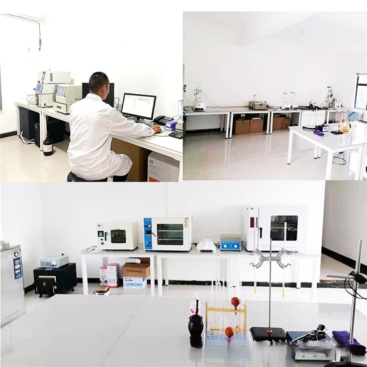 Dehydrated Lime Powder high quality