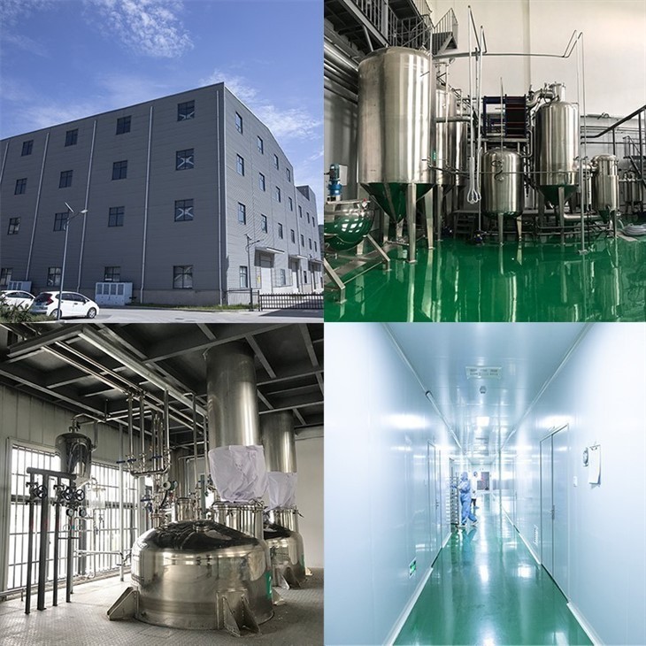 Dehydrated Lime Powder suppliers